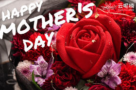 fafa给你（含花盒）