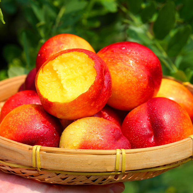 当季新鲜油桃 黄肉甜心 脆爽多汁 包邮 单果110g左右 包邮包售后