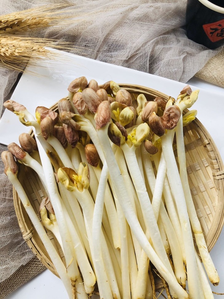 有机花生苗 7.2元每斤