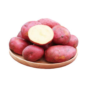 红皮土豆（中大果）500g/份