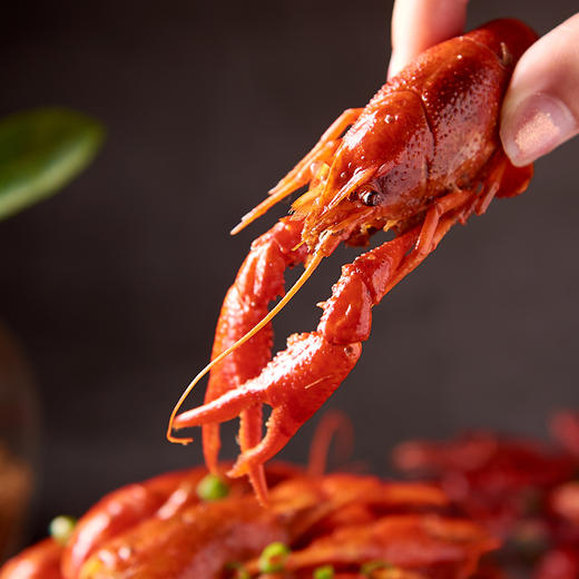 中国虾之味小龙虾4种口味可选