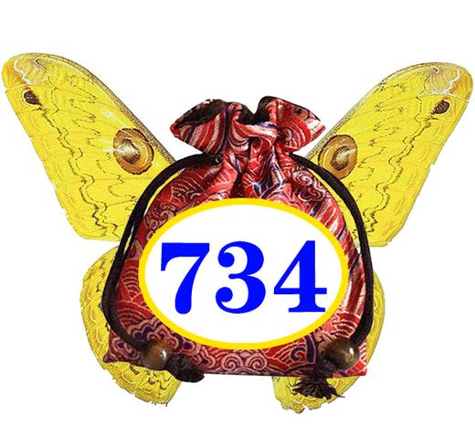 七巧板的认识 734号锦囊通关妙计 商品图0