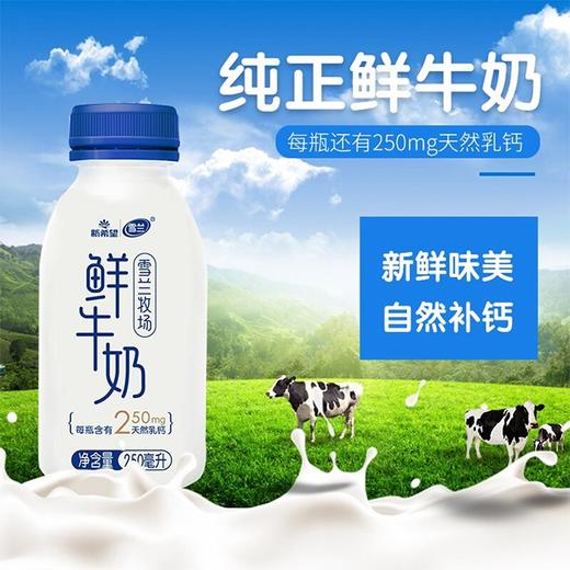 【gy】新希望雪兰牧场鲜牛奶250ml