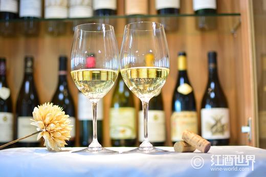 揭秘白葡萄酒的酿造过程 商品图0