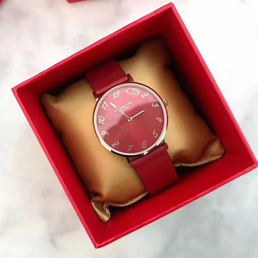蔻驰手表 蔻驰小红表 coach手表 鼠年限定 尽显优雅 情人节生日礼物