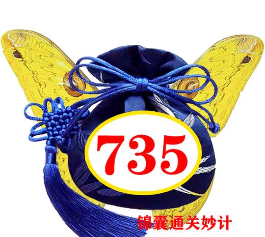 七巧板的秘密 735号锦囊通关妙计 商品图0