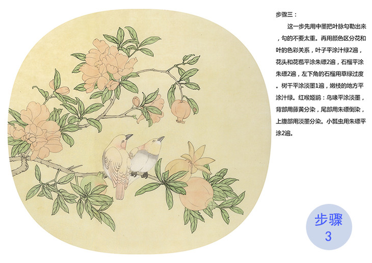 有步骤大彩图郑玲玲工笔花鸟画白描稿逸韵悠然小品zl86