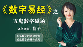 （第12讲）五鬼数字磁场