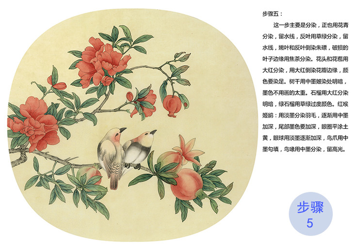 有步骤大彩图郑玲玲工笔花鸟画白描稿逸韵悠然小品zl86