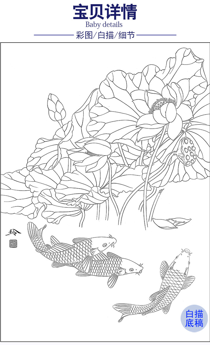 郑玲玲工笔画白描底稿《荷塘鱼乐图》荷花鲤鱼临摹勾线花鸟