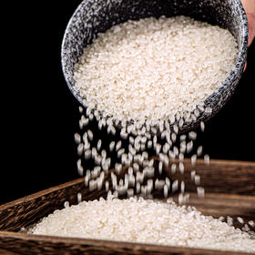 袁蒙海水稻大米，种在盐碱地的米，飘满稻花香