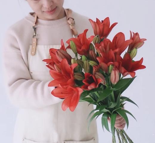 【周四团购】帕特诺一把/79.8元 2人拼团 商品图1