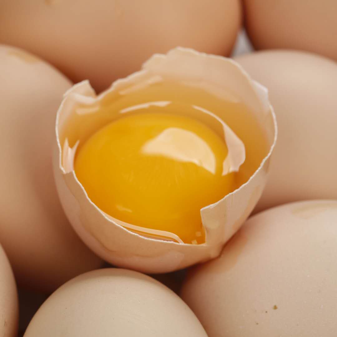 【产地直发包邮】黄粉虫北京油鸡鸡蛋绿嘟嘟农场（50枚2400g左右）