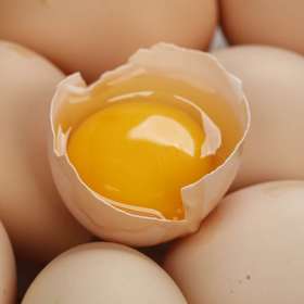 【产地直发包邮】黄粉虫北京油鸡鸡蛋绿嘟嘟农场（50枚2400g左右）