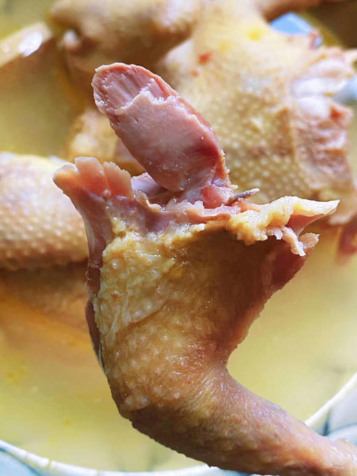 崇明生态老鸽🐦，三年龄以上，一鸽胜九鸡，砂锅煲5小时，非常鲜美 商品图5