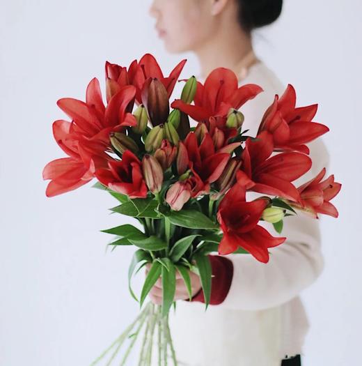 【周四团购】帕特诺一把/79.8元 2人拼团 商品图2