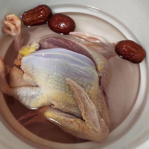 崇明生态老鸽🐦，三年龄以上，一鸽胜九鸡，砂锅煲5小时，非常鲜美 商品图1