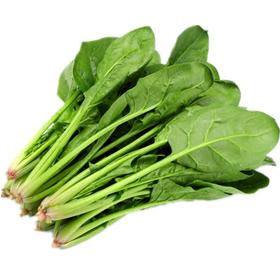 菠菜 400g