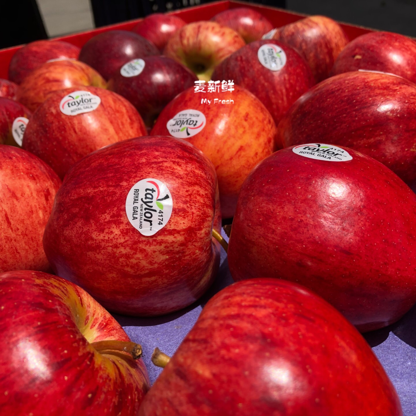 【新西兰咖喱果】