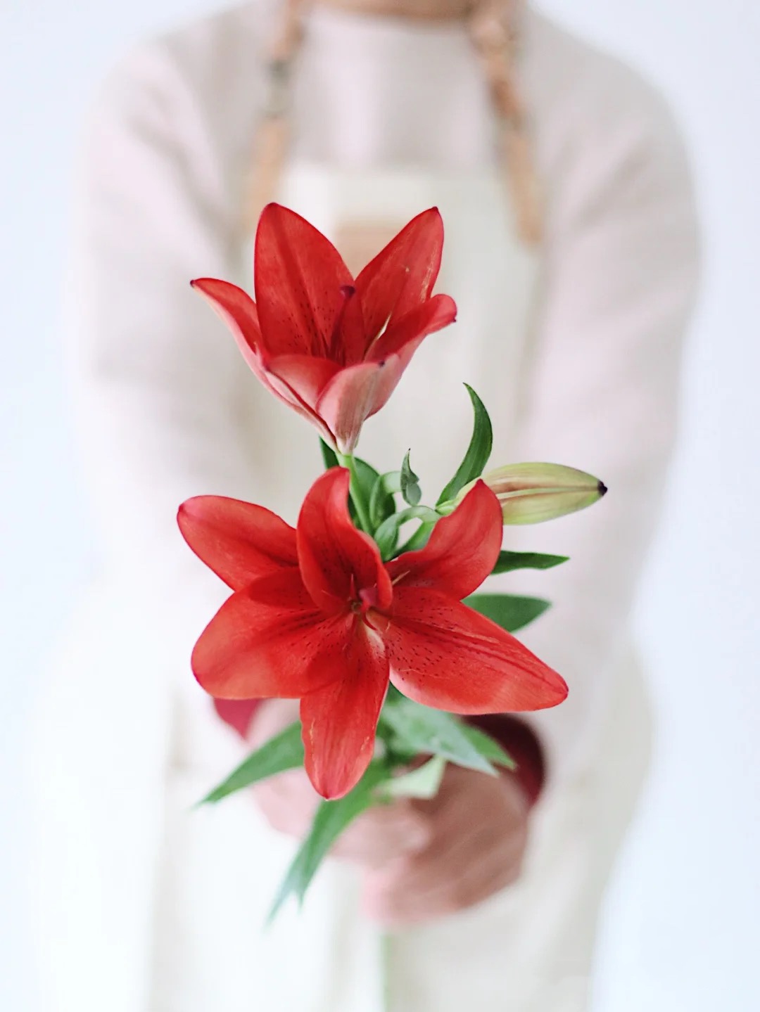 【周四团购】帕特诺一把/79.8元 2人拼团