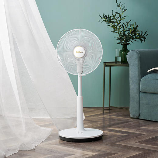 bestherm百斯腾 直流温感频智能负离子空气净化电风扇