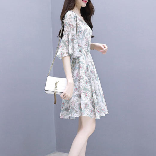 大美美学测试 商品图0