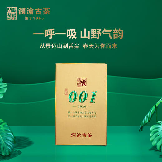 澜沧古茶2020年001芳砖景迈古树春茶纯料普洱生茶小砖 商品图1