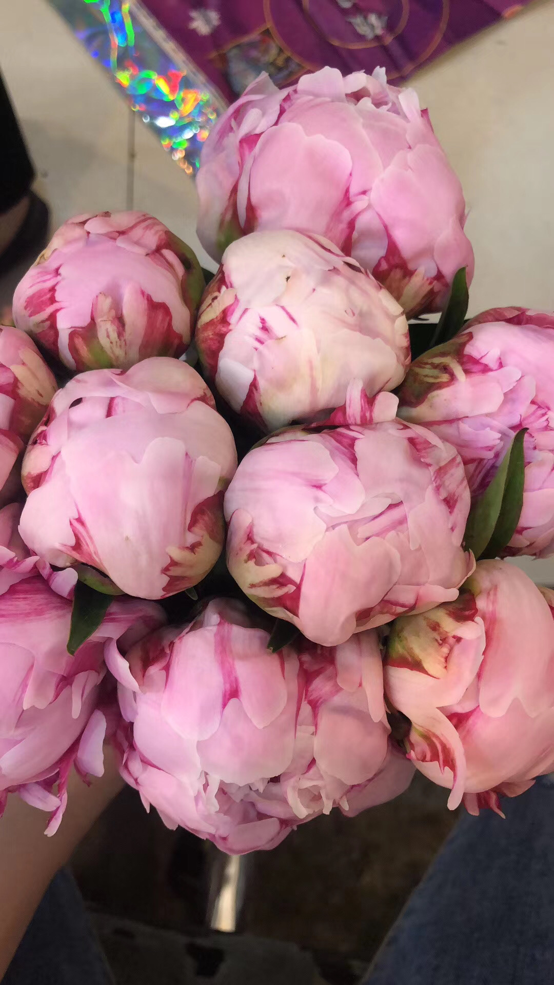 【每周团购】进口大芍药(莎拉)