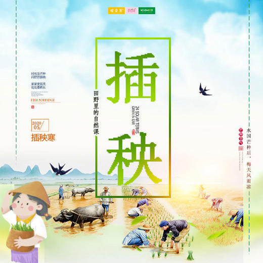 亲子游 |  6/20 周六 插秧 摸鱼 田野里的自然课 做一回“小农夫”，感受农民伯伯辛勤的耕作，明白“锄禾日当午，粒粒皆辛苦”的真正含义 商品图0