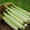 生态玉米笋 | 绿家自产*Ecological baby corn | Self-production 商品缩略图0