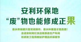 废物也能修成正果-云观安利供应链