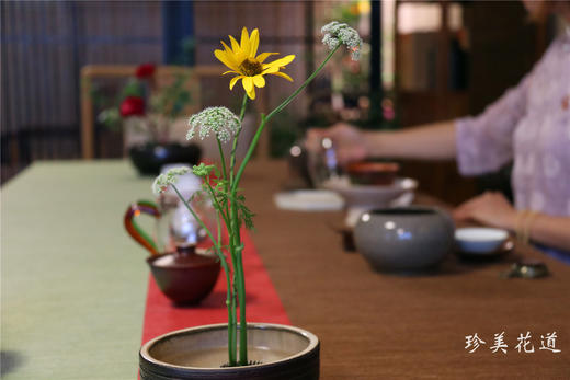 茶席花 商品图0