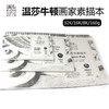 【温莎牛顿】画家专用素描本 商品缩略图0