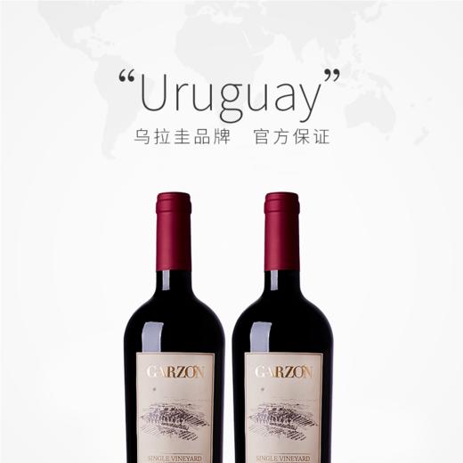 嘉颂丹娜单一园红葡萄酒 2018 bodega garzon single vineyard