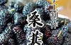 桑葚果酱 商品缩略图0
