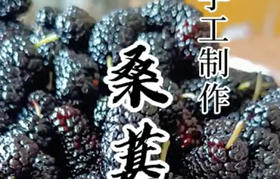 桑葚果酱