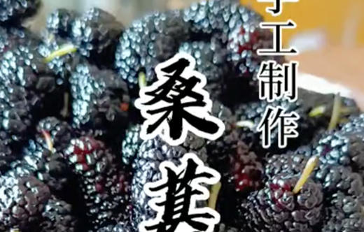 桑葚果酱 商品图0