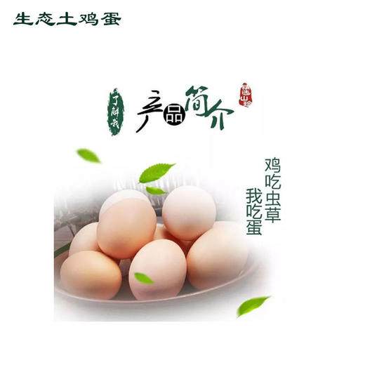 鑫凤巢鸡蛋【30枝】 商品图0