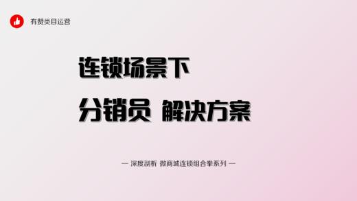 连锁场景下分销员解决方案 商品图0