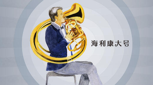 海利康大号 商品图0