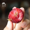 【下雨预售】生态东魁杨梅 | 合作生产*Eco-waxberry | Partner Production 商品缩略图1