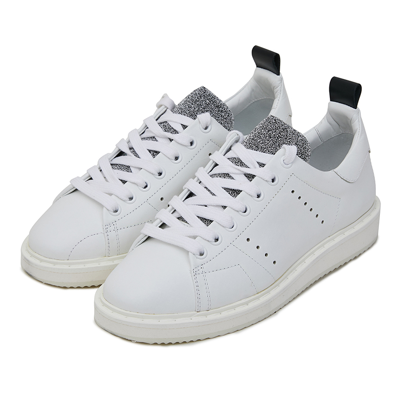 golden goose 黄金鹅