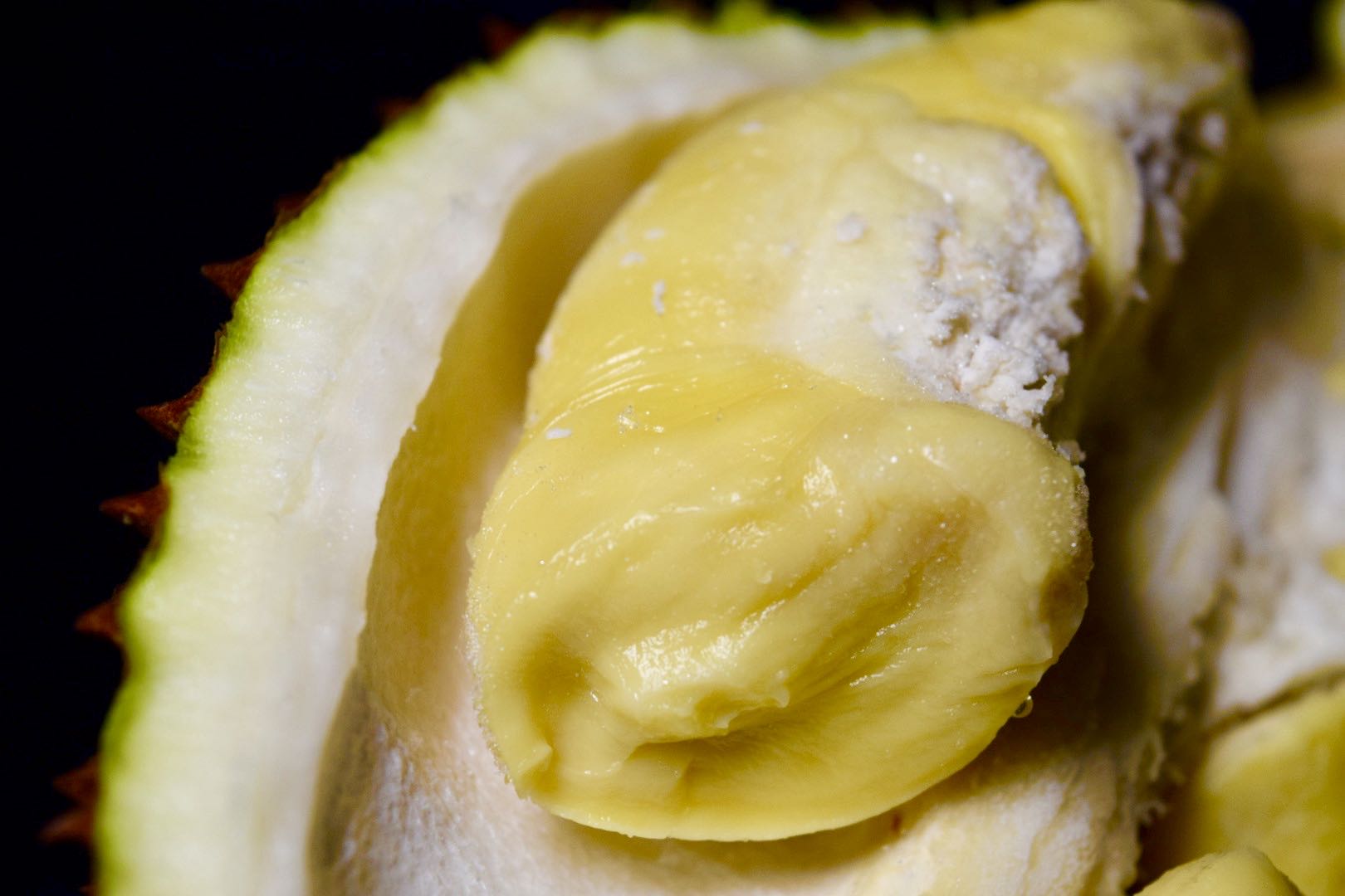 猫山王榴莲马来西亚进口