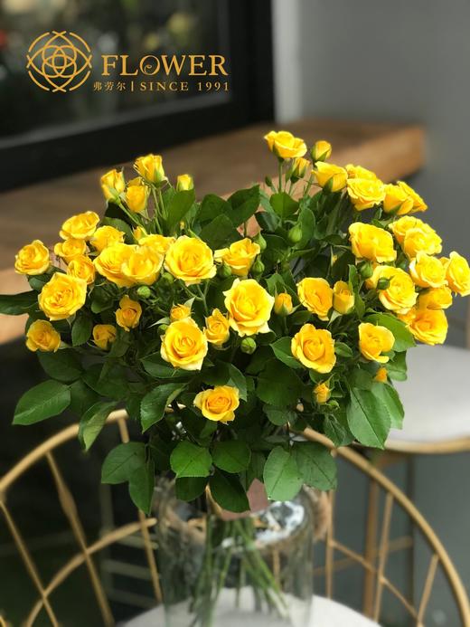 梦幻芭比多头玫瑰 商品图4