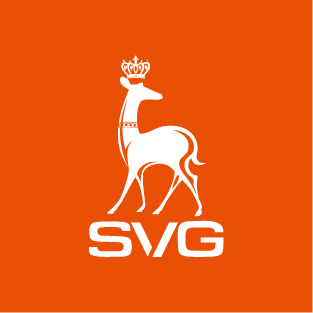 SVG高尔夫旗舰店