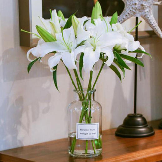 单头百合18枝，颜色随机 商品图0