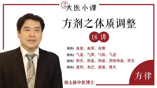 [方律]-方剂之体质调整16讲 商品图0