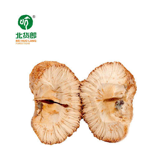 猴头菇 商品图3