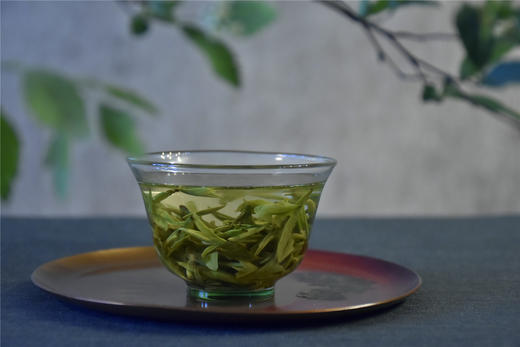 绿茶品鉴-深度赏析 商品图0