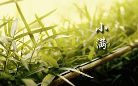 小满 | 一年之中体内阳气最充沛的时候，宜健脾养胃，去“火毒”